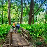 Parkpension Spreewald