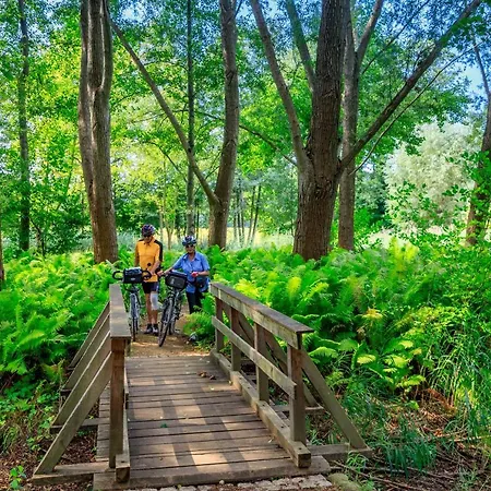 Parkpension Spreewald