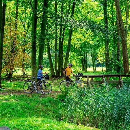 Parkpension Spreewald 3* Burg (Spreewald)