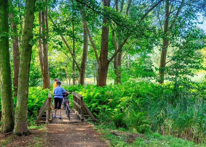 Gasthof Parkpension Spreewald 3*